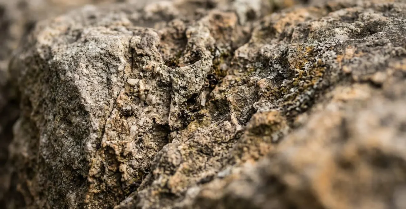 Dettaglio macro di una superficie di pietra antica che mostra la texture naturale e l'erosione causata dal contatto umano nel tempo